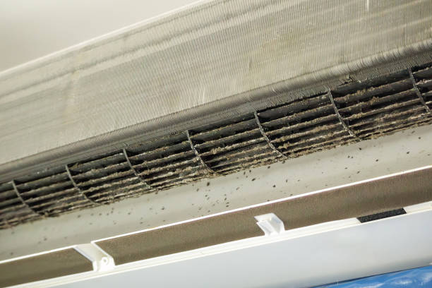 Best Affordable Air Duct Cleaning  in Coburg, OR